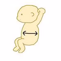 Cách đọc kết quả siêu âm thai chuẩn như bác sĩ - 5