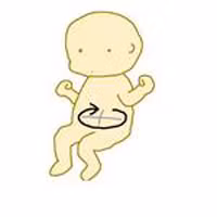 Cách đọc kết quả siêu âm thai chuẩn như bác sĩ - 6