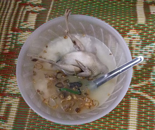 Cháo ‘chim trắng mồ côi’. Cháo chim trắng mồ côi.