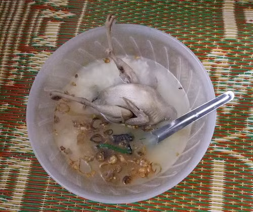 Cháo ‘chim trắng mồ côi’. Cháo chim trắng mồ côi.