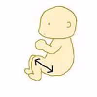 Cách đọc kết quả siêu âm thai chuẩn như bác sĩ - 7