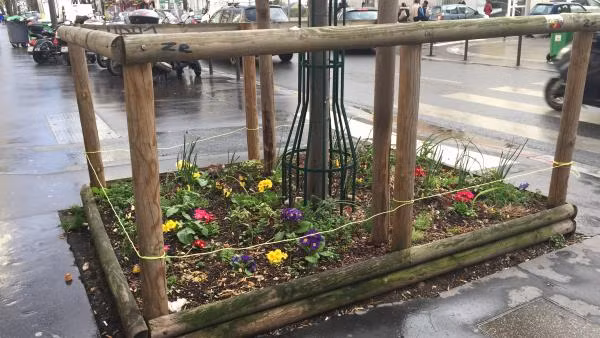 Một gốc cây được trồng thêm hoa và rau trong quận 13, Paris