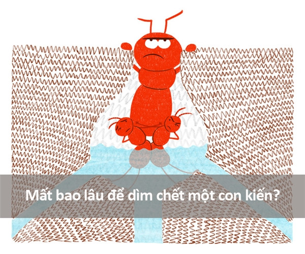 Những câu hỏi ngớ ngẩn nhất từng được gõ trên Google ảnh 2 Những câu hỏi ngớ ngẩn nhất từng được gõ trên Google ảnh 2