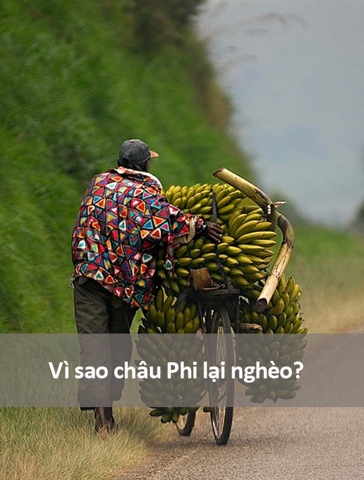 Những câu hỏi ngớ ngẩn nhất từng được gõ trên Google ảnh 13 Những câu hỏi ngớ ngẩn nhất từng được gõ trên Google ảnh 13