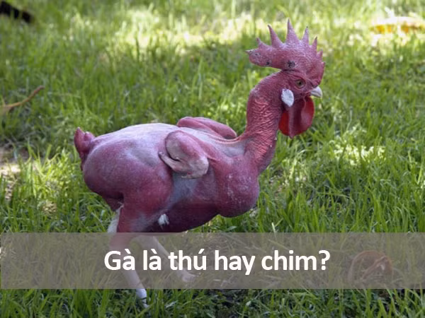 Những câu hỏi ngớ ngẩn nhất từng được gõ trên Google ảnh 7