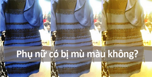 Những câu hỏi ngớ ngẩn nhất từng được gõ trên Google ảnh 8 Những câu hỏi ngớ ngẩn nhất từng được gõ trên Google ảnh 8