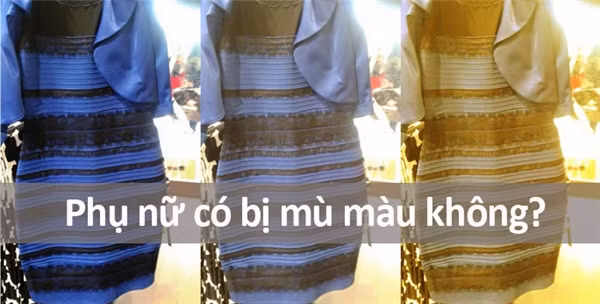 Những câu hỏi ngớ ngẩn nhất từng được gõ trên Google ảnh 8