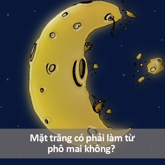 Những câu hỏi ngớ ngẩn nhất từng được gõ trên Google ảnh 9 Những câu hỏi ngớ ngẩn nhất từng được gõ trên Google ảnh 9