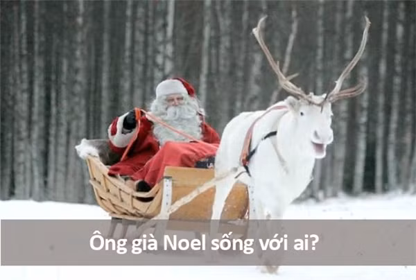 Những câu hỏi ngớ ngẩn nhất từng được gõ trên Google ảnh 17