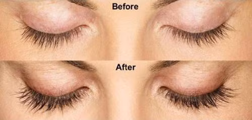 Công thức giá rẻ giúp hàng mi dài và cong vút ảnh 5