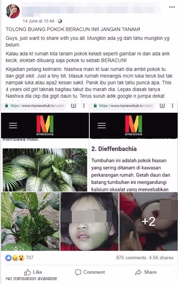 Bé gái 4 tuổi bị co giật, sưng môi, nguy hiểm tính mạng vì cắn phải lá của loại cây mà hầu như nhà nào cũng trồng trong nhà-1