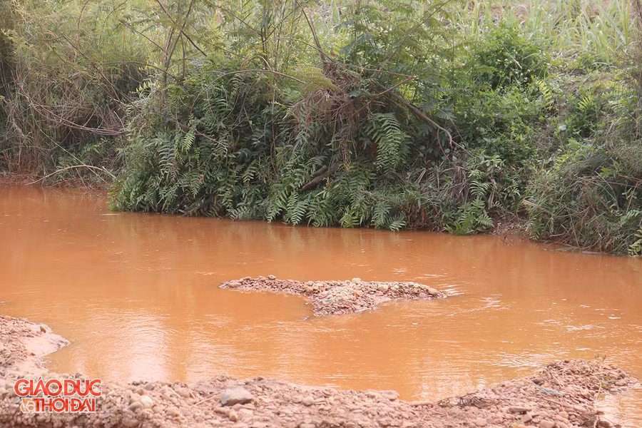 Sông Nậm Tôn từng là nơi có nguồn lợi thủy sản phong phú. Ảnh: Phạm Tâm