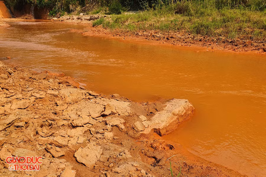 Tôm, cá không thể sinh sống trên sông Nậm Tôn. Ảnh: Phạm Tâm