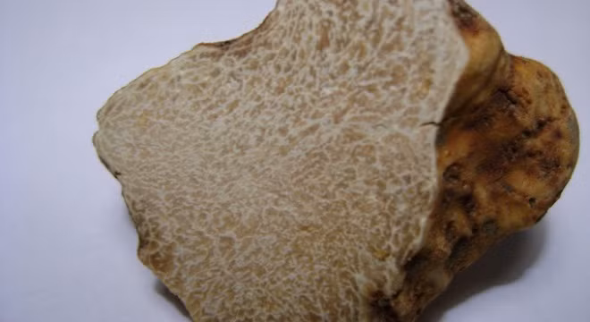 19 thứ “đắt đỏ” nhất trên hành tinh