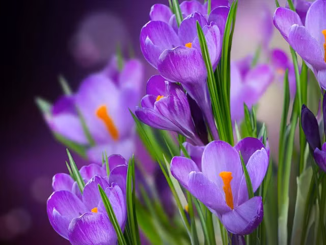 19 thứ “đắt đỏ” nhất trên hành tinh ảnh 2