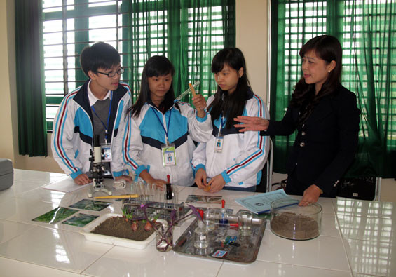 Ảnh minh họa Ảnh minh họa