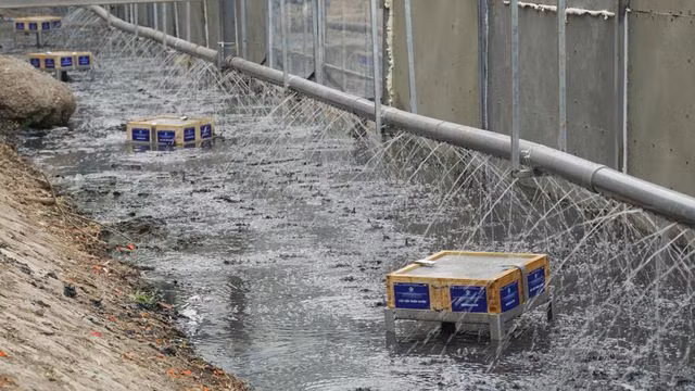 Xem màn trình diễn biến bùn thành CO2 và nước trên sông Tô Lịch - 12