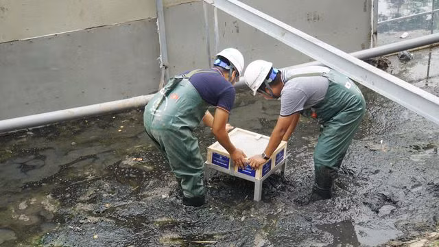 Xem màn trình diễn biến bùn thành CO2 và nước trên sông Tô Lịch - 10