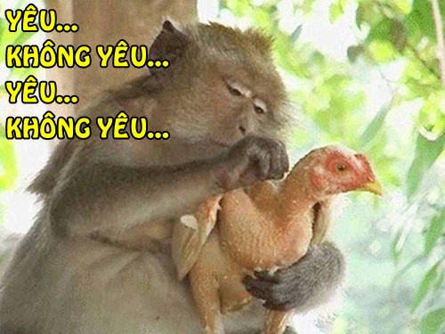 10-anh-hai-hot-nhat-facebook-trong-ngay-8