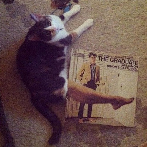 10-anh-hai-hot-nhat-facebook-trong-ngay-1