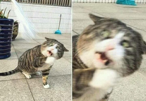 10-anh-hai-hot-nhat-facebook-trong-ngay-6