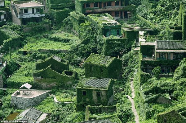 Kinh ngạc với vẻ đẹp nên thơ của làng chài bị bỏ hoang suốt 30 năm ở Trung Quốc ảnh 4
