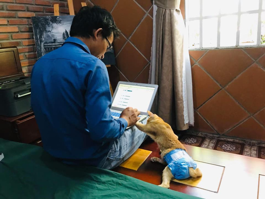 Xúc động với câu chuyện đằng sau hình ảnh chú mèo đóng bỉm sang chảnh ảnh 3