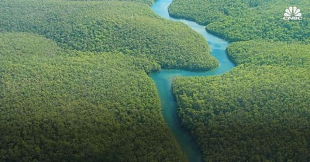 Chàng thanh niên của bộ tộc Awa gây sốt với vẻ ngoài điển trai chang thanh nien cua bo toc awa gay sot voi ve ngoai dien trai