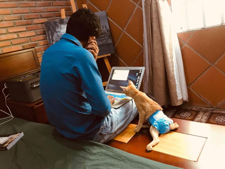 Xúc động với câu chuyện đằng sau hình ảnh chú mèo đóng bỉm sang chảnh ảnh 4