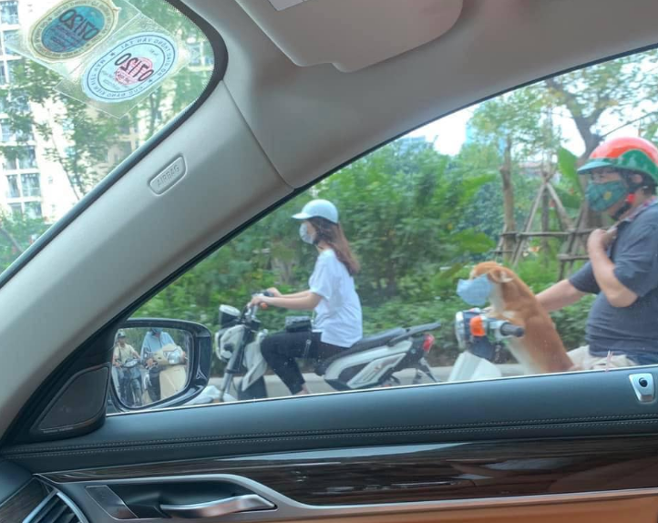 Boss nhà người ta.