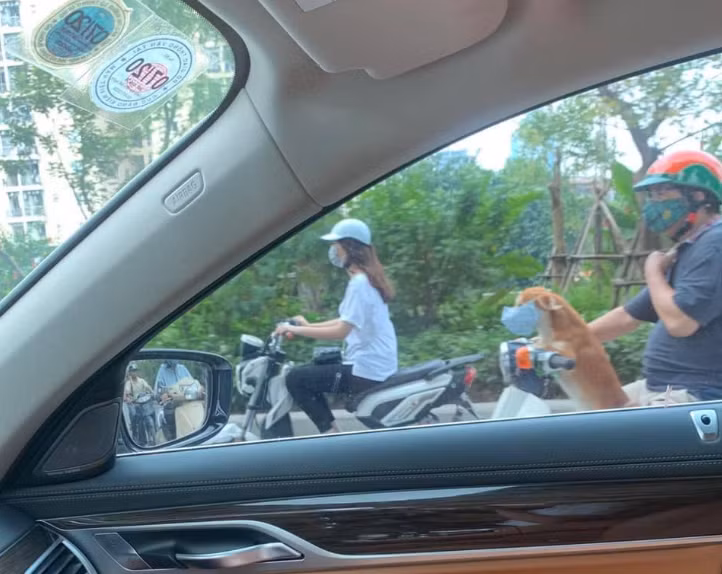 Boss nhà người ta.