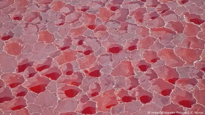 Cộng đồng mạng - Giải mã bí ẩn: “Hồ tử thần đỏ rực” kỳ lạ - nghĩa địa của hàng nghìn xác chết “hóa đá” (Hình 3).