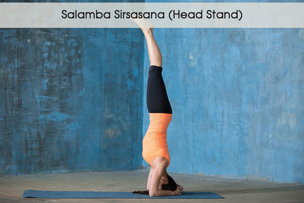 5 tư thế yoga giúp đánh tan bọng mắt ảnh 5 5 tư thế yoga giúp đánh tan bọng mắt - 4