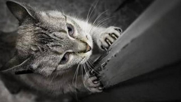 Vô tình để 3 giọt giấm rơi vào thùng rác, kết quả qua đêm không thể tin được