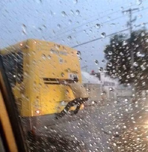 Chuyến xe bão táp.