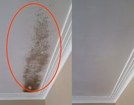 20160113-034920-40520x406-ngoisao.vn-w520-h406 4 Vô tình để 3 giọt giấm rơi vào thùng rác, kết quả qua đêm không thể tin được