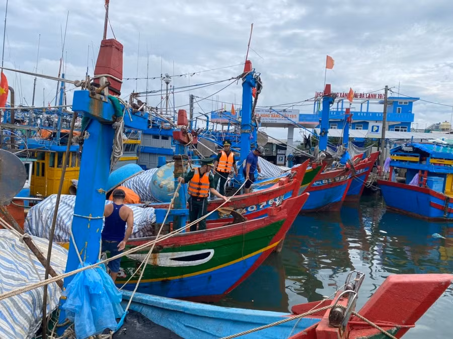 Ngư dân Quảng Ngãi neo trú tàu thuyền an toàn phòng, chống bão Noru.