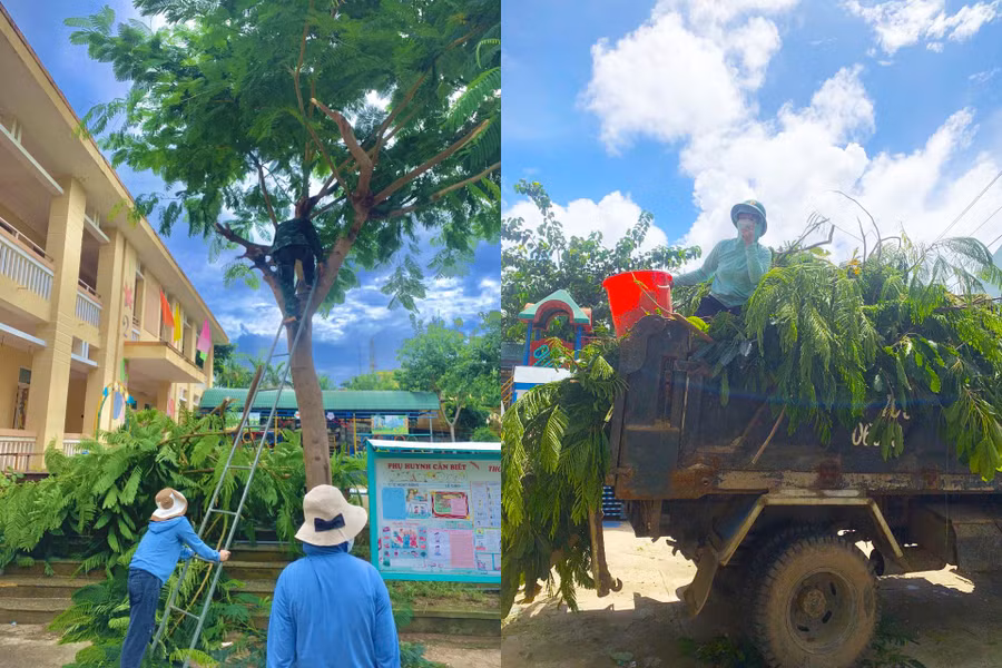 Sáng ngày 25/9, ngành giáo dục huyện Lý Sơn đã huy động cán bộ, giáo viên phát dọn cây cối, chằng chống trường lớp tại các trường học trên đảo.