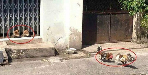 10-anh-hai-hot-nhat-facebook-trong-ngay-6