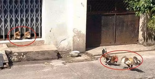 10-anh-hai-hot-nhat-facebook-trong-ngay-6