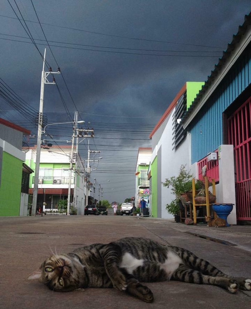 10-anh-hai-hot-nhat-facebook-trong-ngay-1