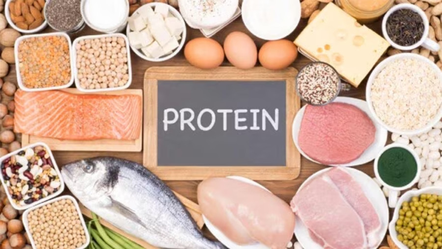 Nguồn thức ăn từ động vật chứa một lượng lớn protein. (Ảnh: ITN)