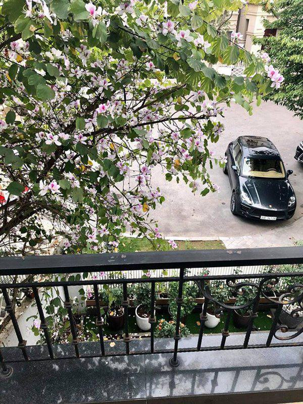 cuoc song suong nhu tien trong can nha trieu do, ngap hoa hong cua nu ca si my dung - 4