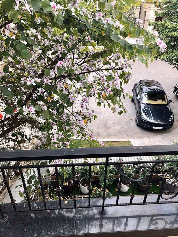 cuoc song suong nhu tien trong can nha trieu do, ngap hoa hong cua nu ca si my dung - 4