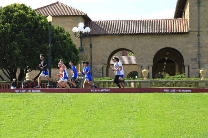 2- Thảm cỏ xanh mướt của Đại học Stanford ở California, Mỹ. 2- Thảm cỏ xanh mướt của Đại học Stanford ở California, Mỹ.