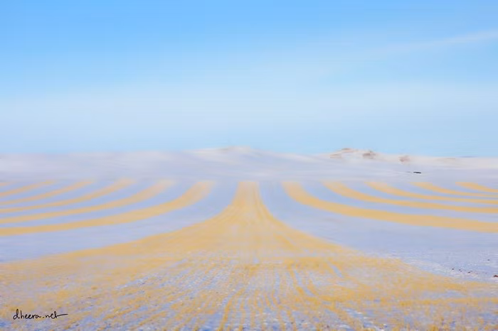 Ngắm mùa đông đẹp như cổ tích ở Mông Cổ ảnh 3 Ngắm nhìn mùa đông điêu khắc cảnh tượng đẹp khó tin ở Mông Cổ