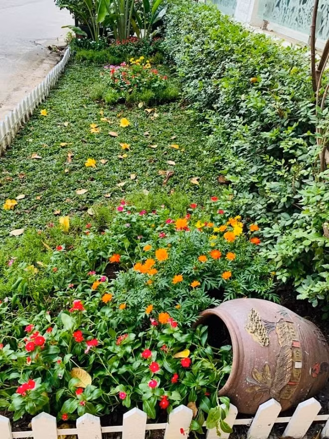 Biệt thự triệu đô ngập tràn sắc xuân của ca sĩ Vy Oanh ảnh 5