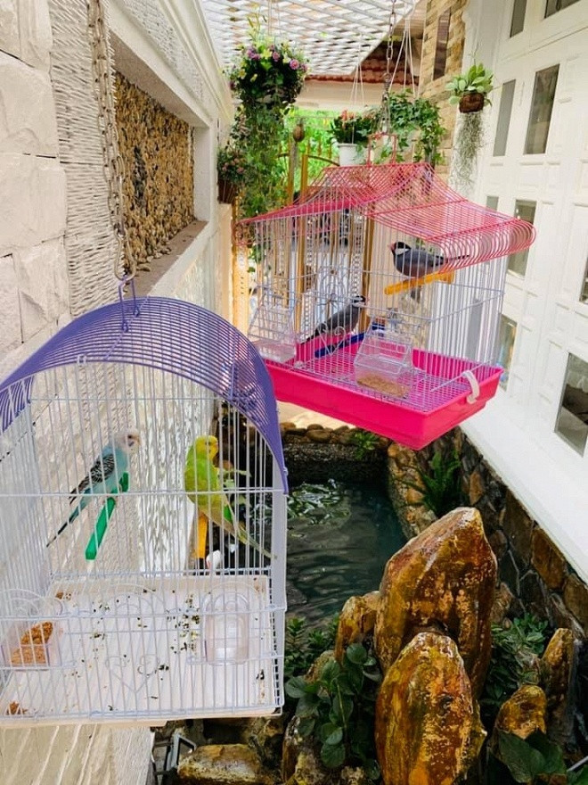 Biệt thự triệu đô ngập tràn sắc xuân của ca sĩ Vy Oanh ảnh 8 Biệt thự triệu đô ngập tràn sắc xuân của ca sĩ Vy Oanh ảnh 8