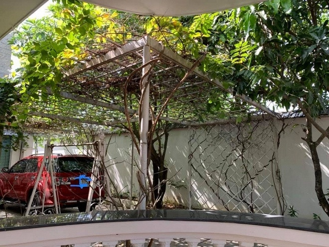 Ngưỡng mộ khu vườn rợp bóng cây xanh của Việt Trinh ảnh 10