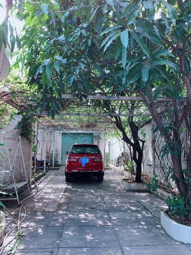Ngưỡng mộ khu vườn rợp bóng cây xanh của Việt Trinh ảnh 11